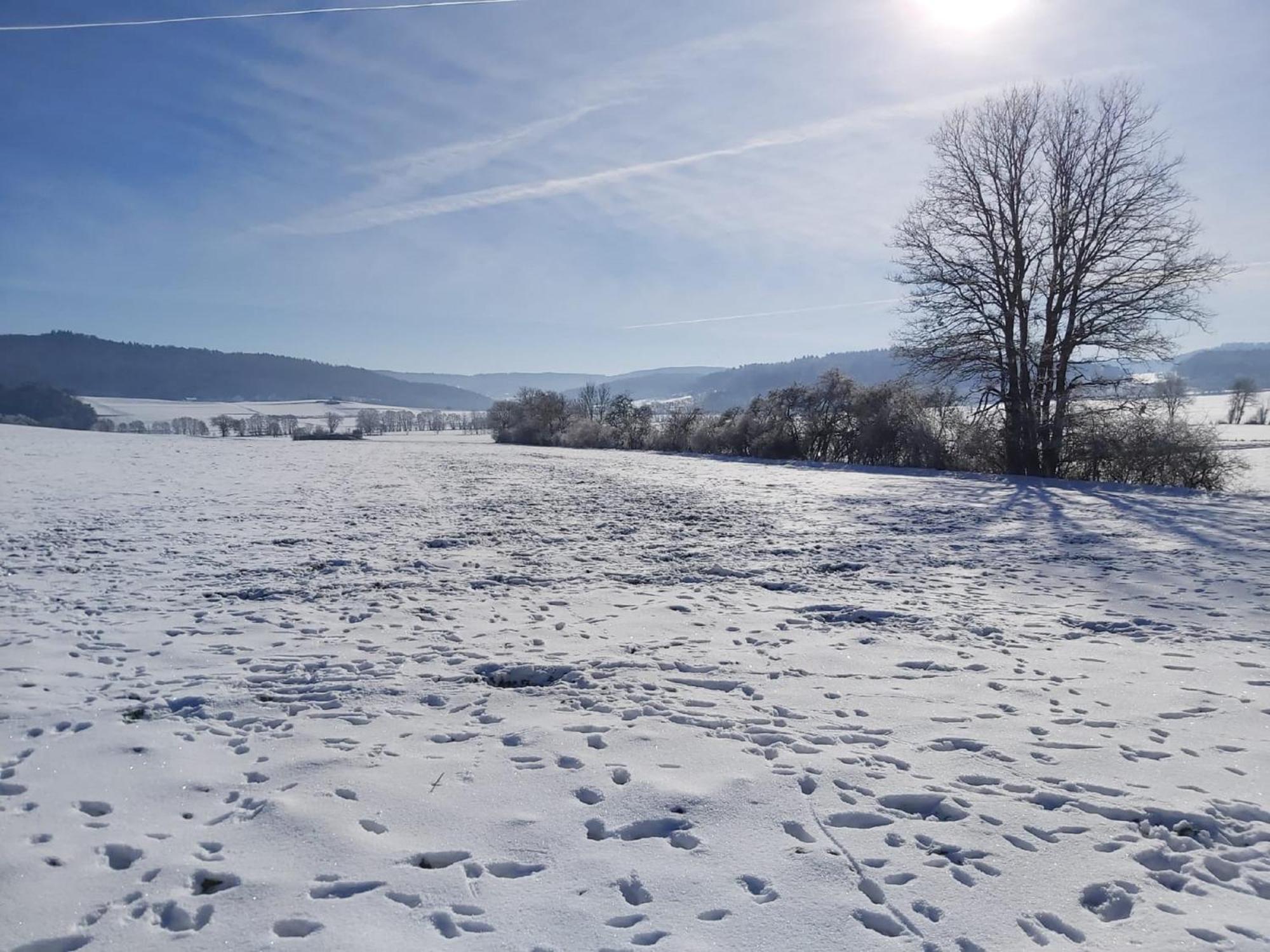Reitze Hoob Apartment Hommertshausen ภายนอก รูปภาพ
